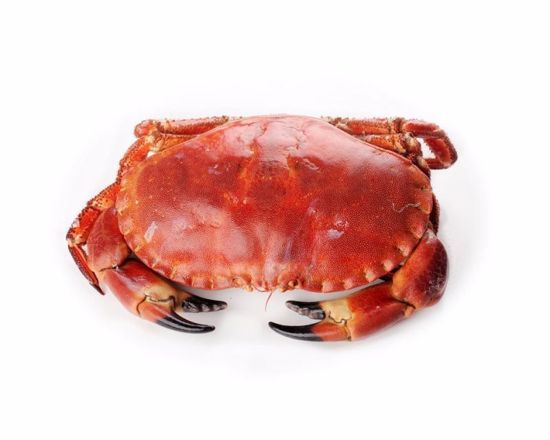 Marisco Cocido | Pescados Saturnino