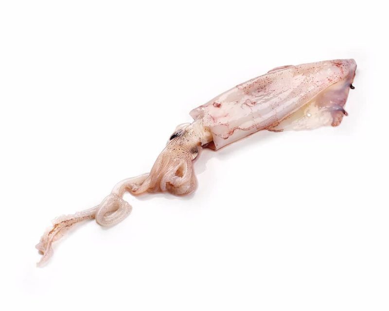 Chipirón limpio de anzuelo