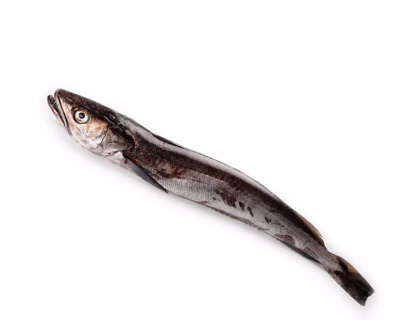 Media merluza anzuelo