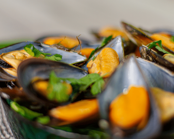 Mejillón gallego cocido | Pescados Saturnino