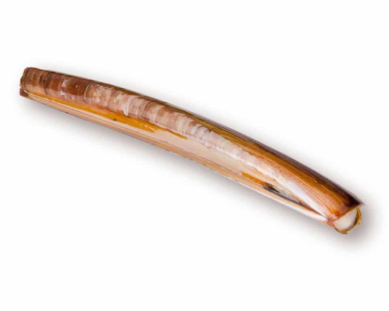 Navaja fresca a domicilio