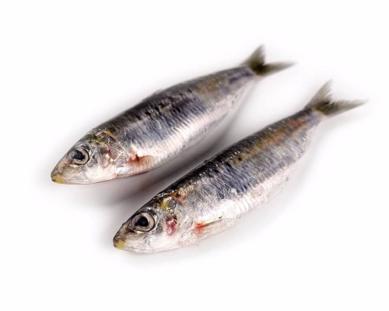 sardina fresca a domicilio