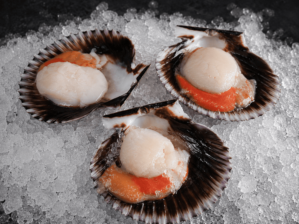 Mariscada variada con zamburiñas, langostinos, navajas y almejas frescas