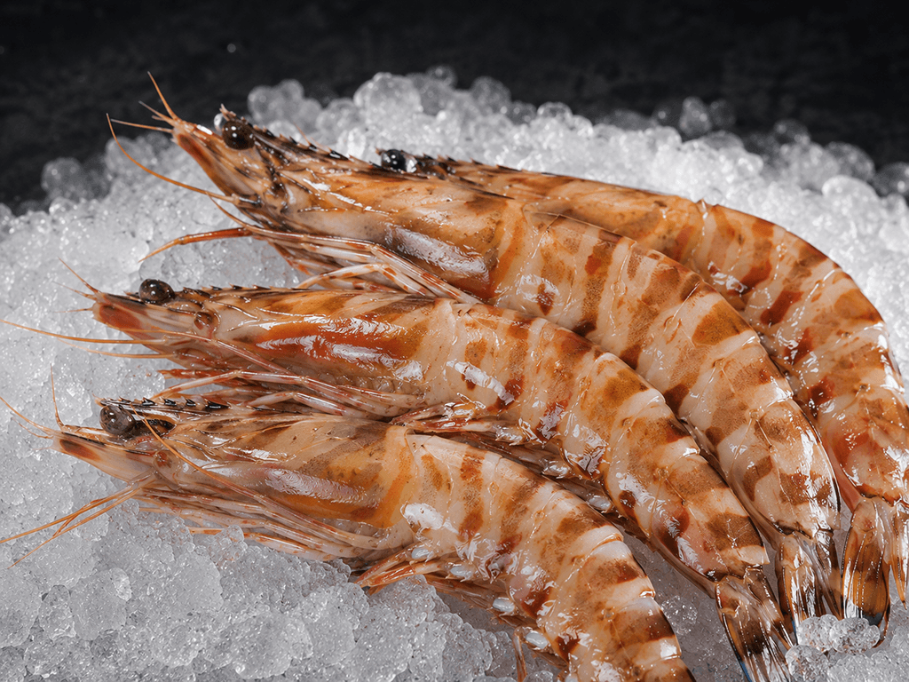 Mariscada premium para 4 personas - Imagen 5