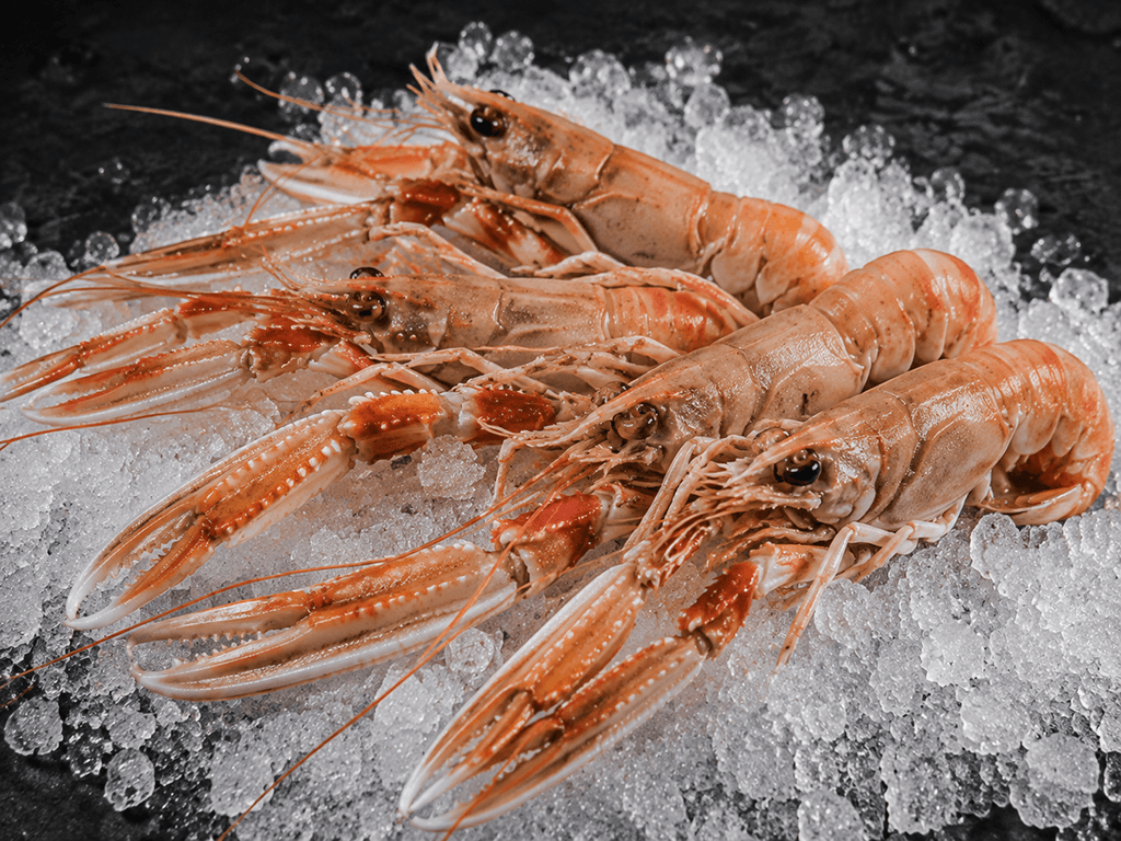 Marisco fresco para comprar online con cigala grillo, langostino y zamburiñas