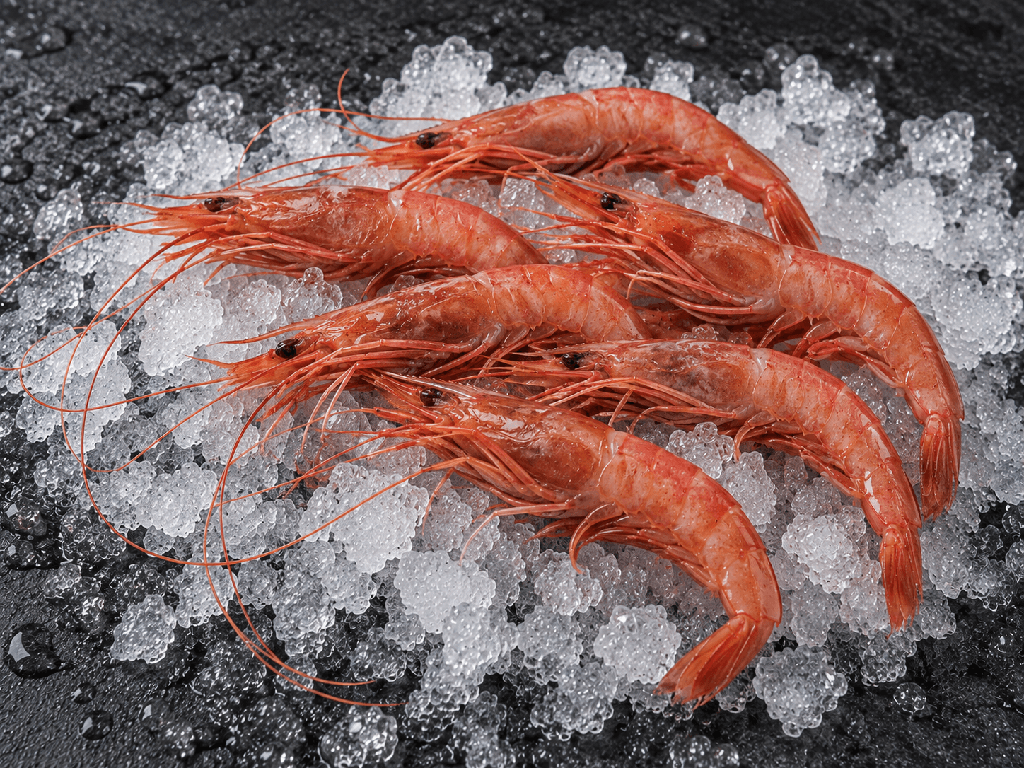 Mariscada con gamba de Huelva, navajas, almejas y mejillón gallego