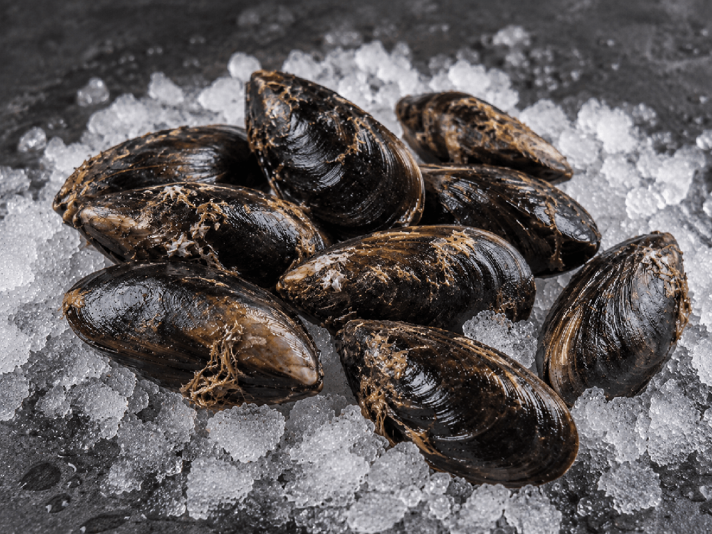Mariscada premium para 2 personas - Imagen 6