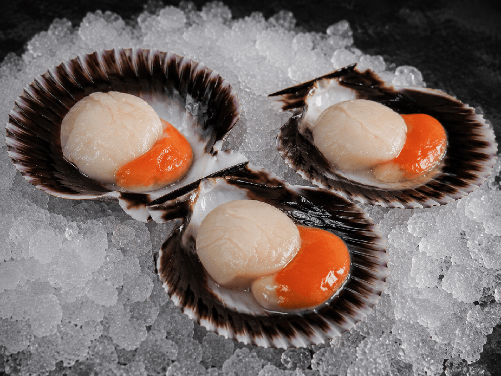 Mariscada variada de pescadería online con marisco fresco y cocido