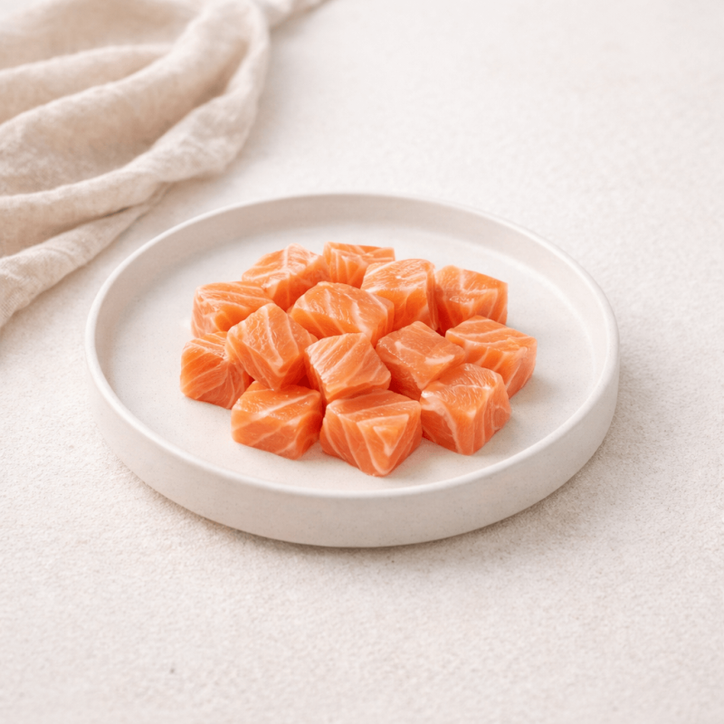 Dados de salmón para niños