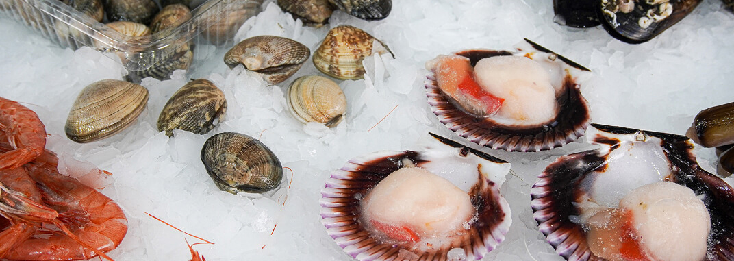 Selección gourmet | Pescados Saturnino