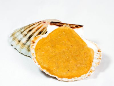 Selección gourmet | Pescados Saturnino