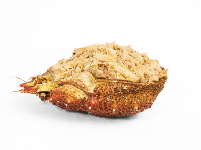 Selección gourmet | Pescados Saturnino