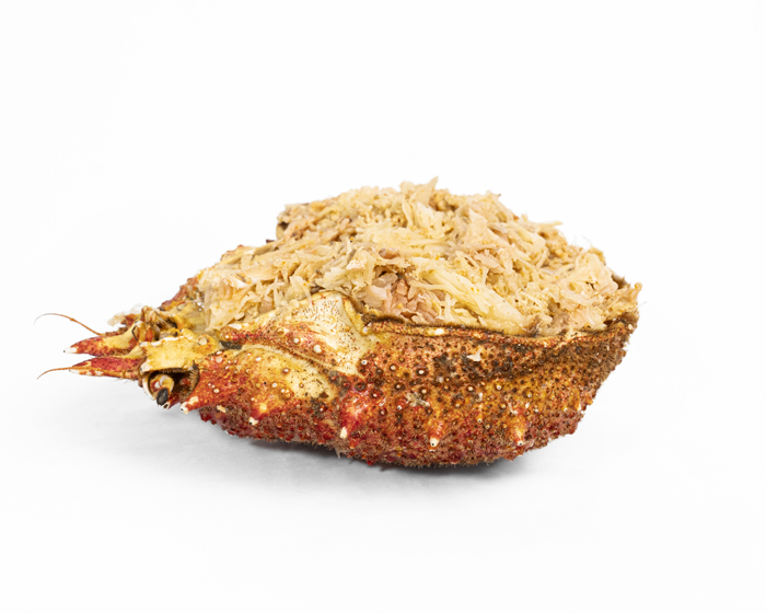 Inicio | Pescados Saturnino