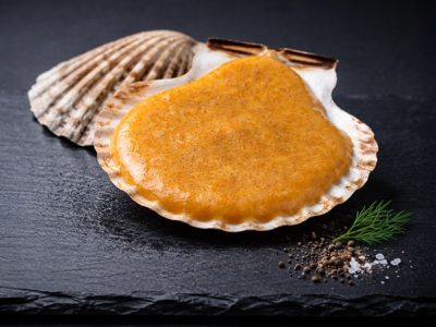 Selección gourmet | Pescados Saturnino